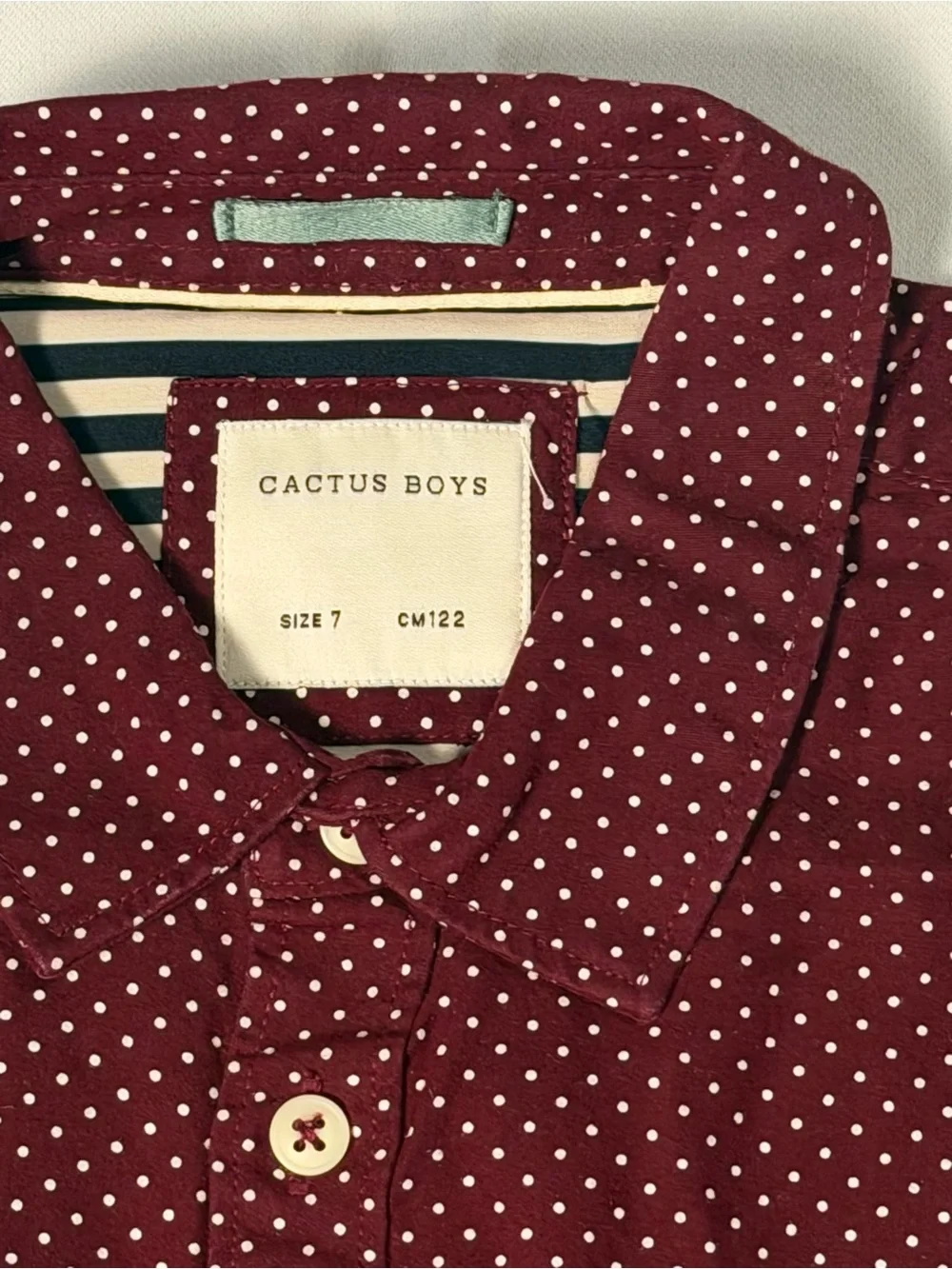 Cactus Burgundy Dot Button-Down Shirt
